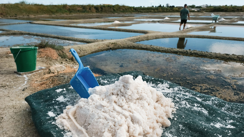 a mound of sel gris in the foreground with salt drying ponds and a worker in the background