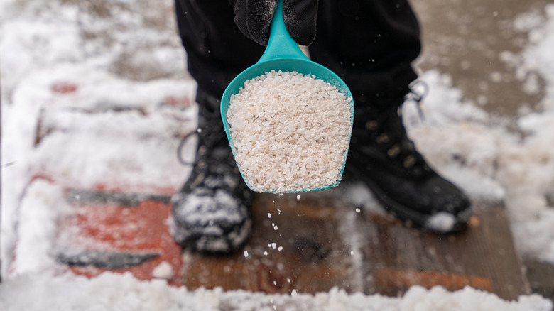 shovel of industrial rock salt being scattered on snow