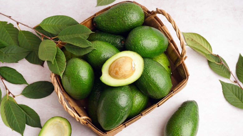 Basket of avocadoes with avocado leaves