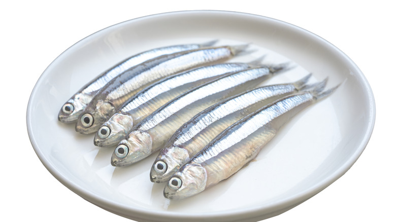6 anchovies on a white plate