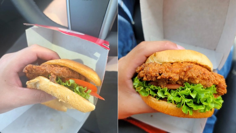 Side-by-side comparison of Chick-fil-A sandwich sizes