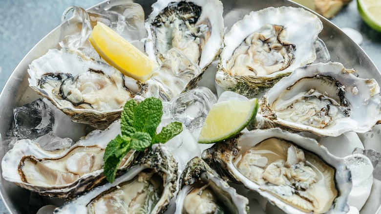 platter of oysters