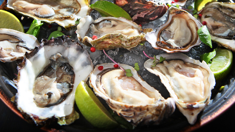 plate of oysters on the half shell with garnishes