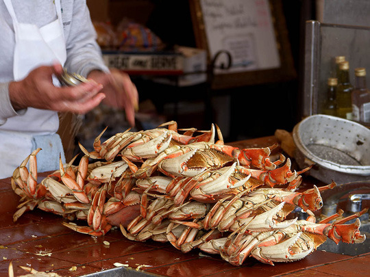 10 Things You Should Know About Dungeness Crab, Currently In Season