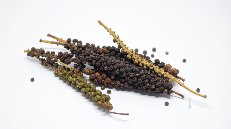 Some sprigs of grains of paradise, it looks similar to black pepper