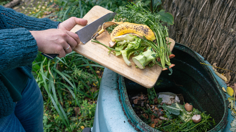 Person composting produce scraps