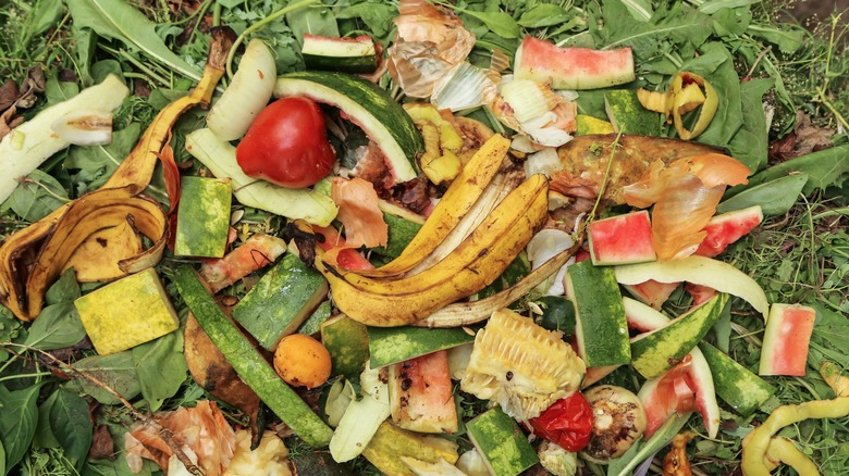 Pile of vegetable scraps