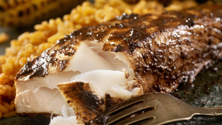 Flaky grilled fish with a dark glaze