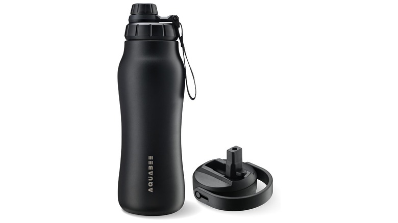Aquabee Insula Stainless Steel Water Bottle and lid.