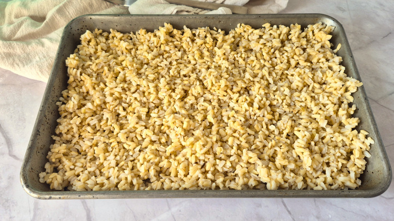 a sheet pan of cooked brown rice spread flat to cool