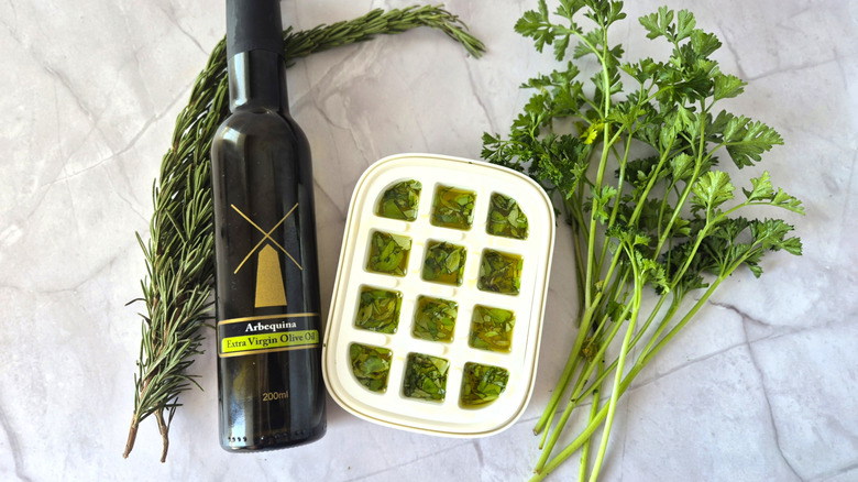 sprigs of fresh rosemary and parsley, a bottle of olive oil, and a white ice cube tray with herbs and oil in it