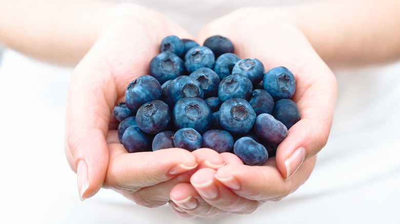 hands holding blueberries