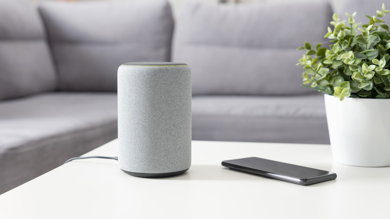 Smart speaker and phone