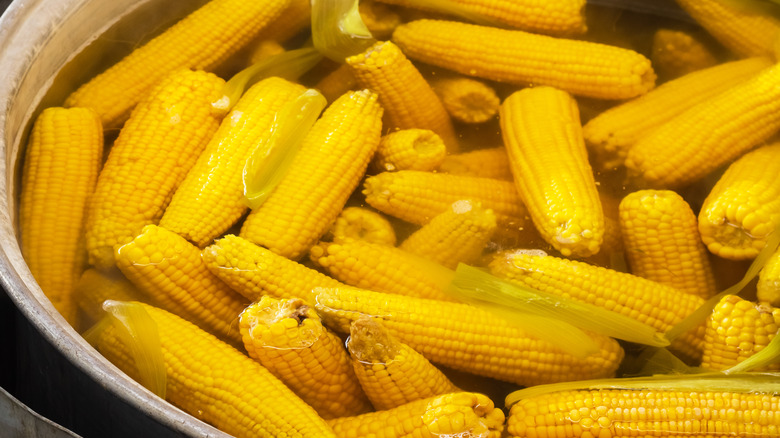 brining corn in barrel