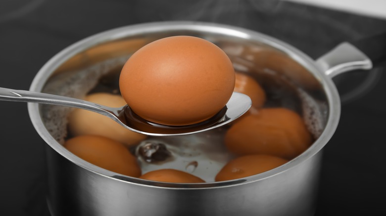 eggs being placed in cooking pot with water