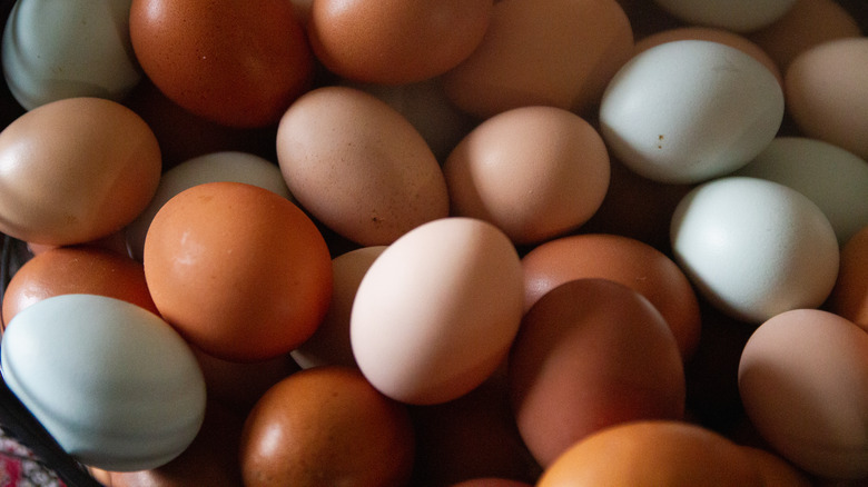 fresh eggs of multiple colors in a basket