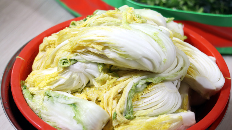 a cabbage draining