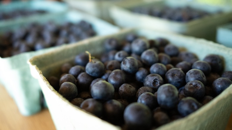 Close-up of fresh blueberries in cartons