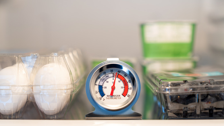 A  refrigerator thermometer next to eggs and blueberries
