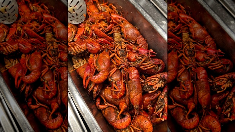 A tray full of lobster at a buffet