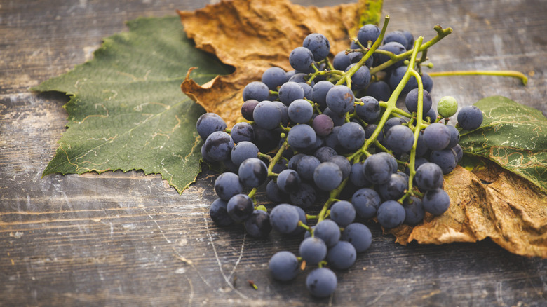 A bunch of dark purple grapes on a wood table