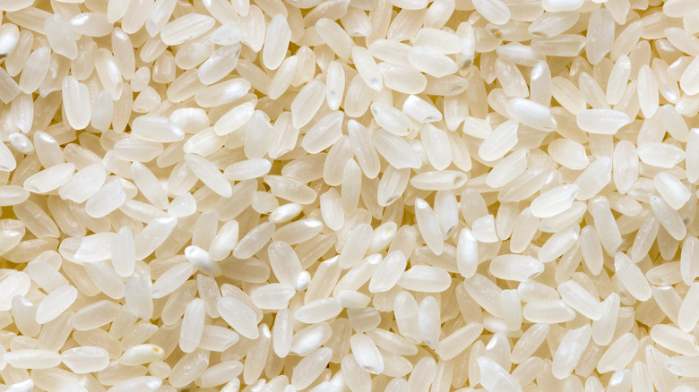 cooked rice