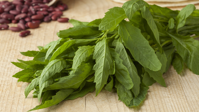 epazote leaves on counter
