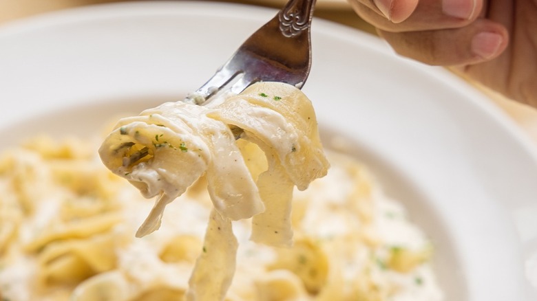 Plate of Alfredo pasta