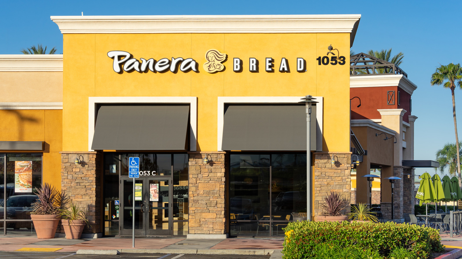 FoodWireDaily — 11 Ways Panera Bread Has Completely Fallen Off For Customers