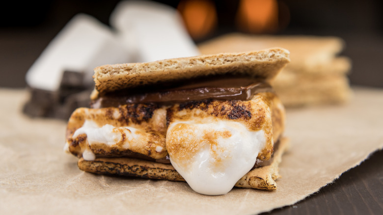 A s'more is set on a table with a melting marshmallow.