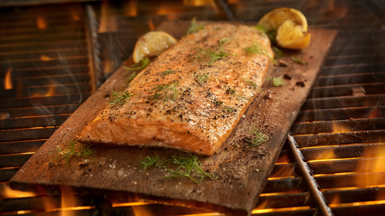 grilling fish on cedar plank