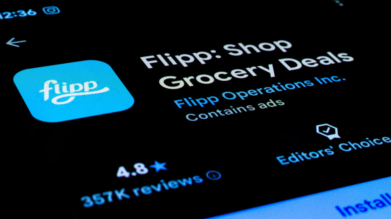 Closeup of Flipp app receipt scanner on a screen