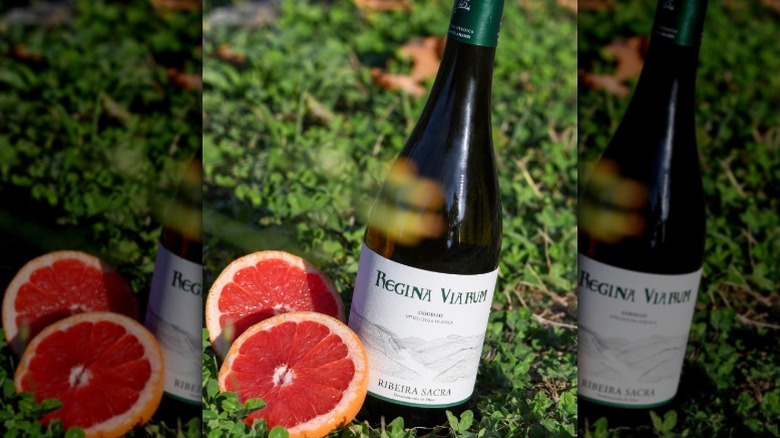A bottle of godello wine sits on grass next to slices of grapefruit