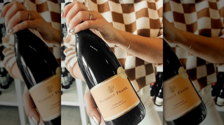 Closeup of a person holding a bottle of zweigelt wine