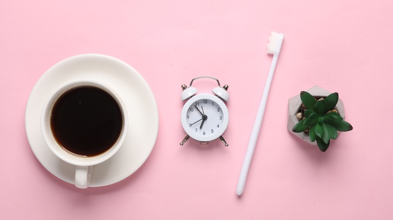 Coffee cup, alarm clock, toothbrush and succulent