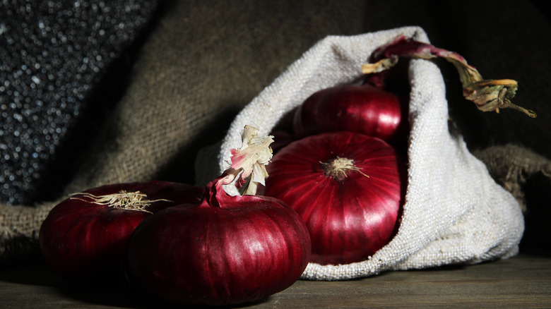 onions in bag in cellar