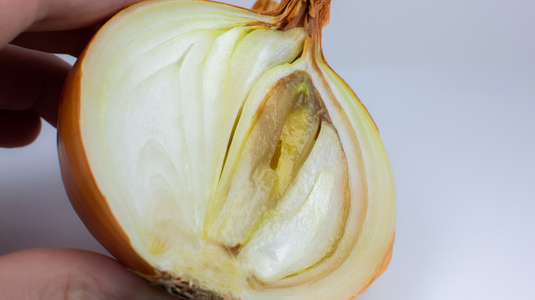 onion that has spoiled