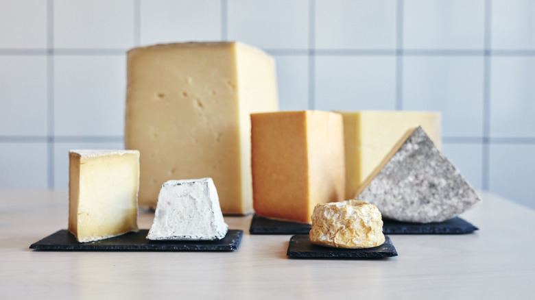 Various cheeses on countertop