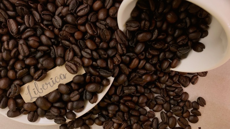 liberica coffee beans