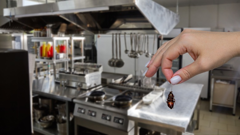 holding a cockroach in front of a kitchen