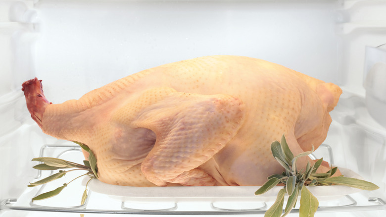 Whole chicken in fridge