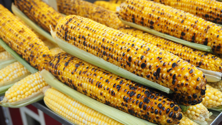 Stack of freshly grilled corn in husks