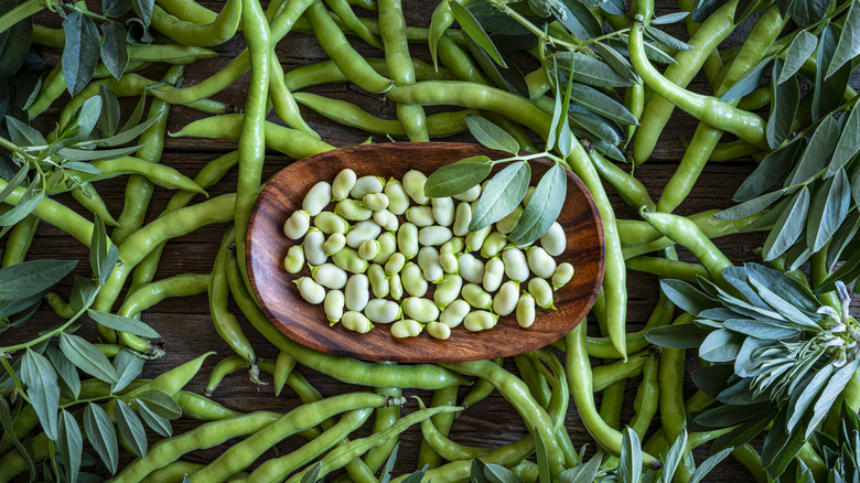 Lima beans in a bowl surrounded by whole pods.