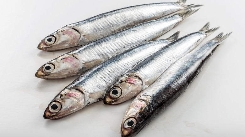 Anchovies on a white background