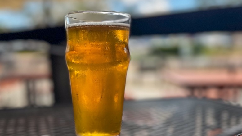 Beer in pint glass