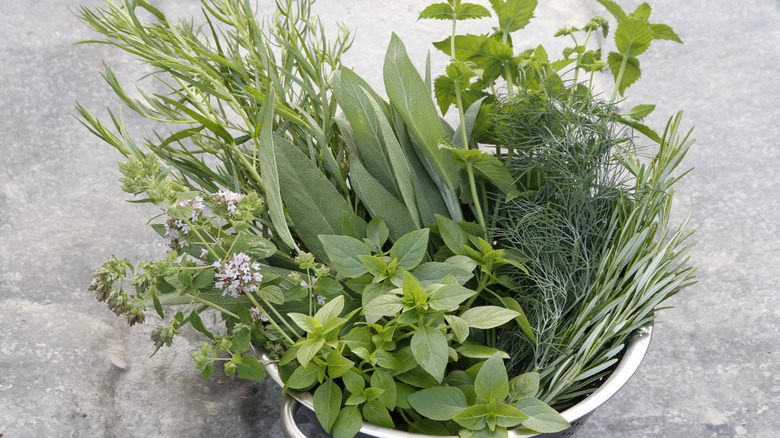 various fresh herbs