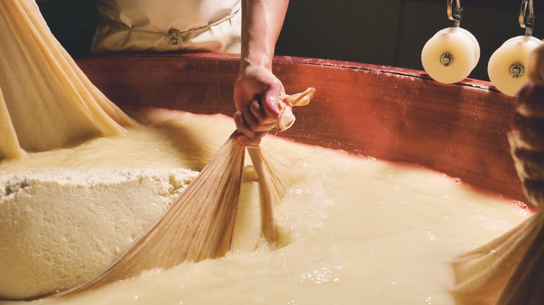 curds being drained in cheesecloth in a copper vat