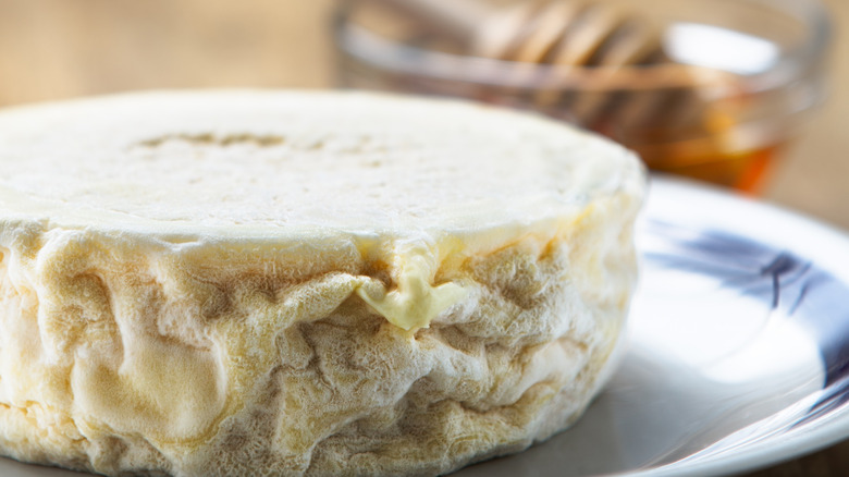 Robiola Roccaverano with honey in background