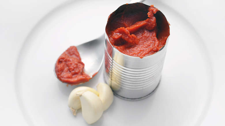 canned tomato paste with spoon
