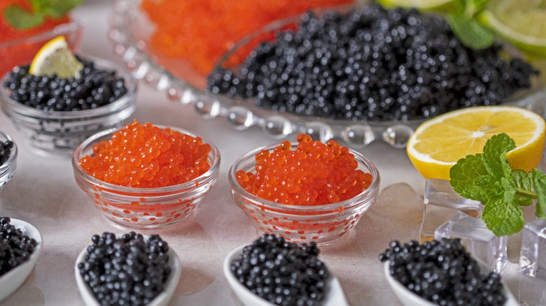 beluga sturgeon caviar 